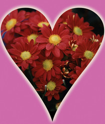 Similar image 8141661