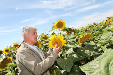 Similar image 8141703