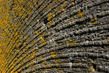 Similar image 8141706