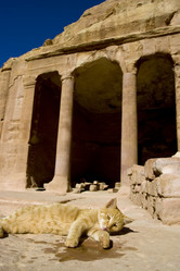 Similar image 8141708