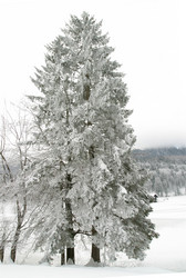 Similar image 8141739