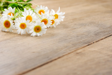 Similar image 8141773