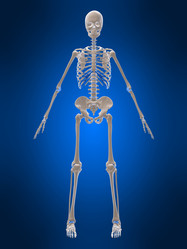 Similar image 8141784