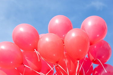 Similar image 8141796