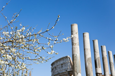 Similar image 8141797