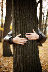 Similar image 8141823