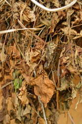 Similar image 8141862