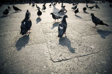 Similar image 8141864