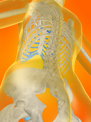 Similar image 8141898