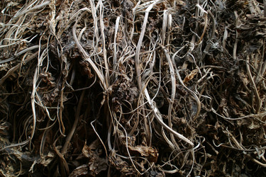 Similar image 8141917