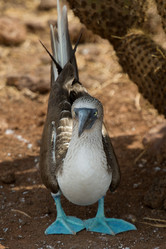 Similar image 8141928