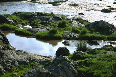 Similar image 8141929