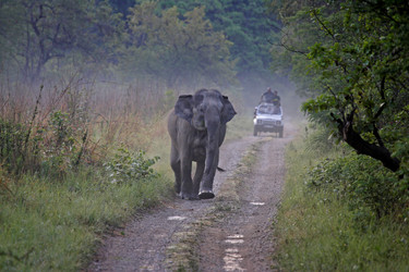 Similar image 8141930