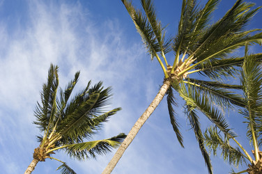 Similar image 8141933