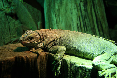 Similar image 8141985