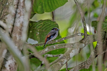 Similar image 8141987