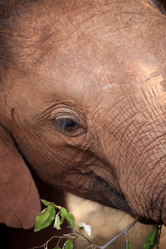 Similar image 8141996