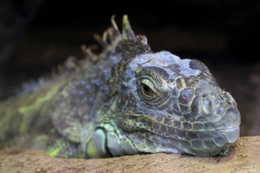 Similar image 8142006