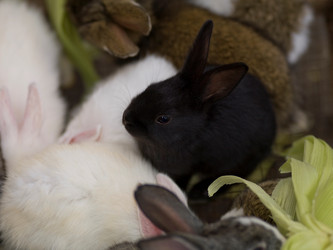 Similar image 8142024