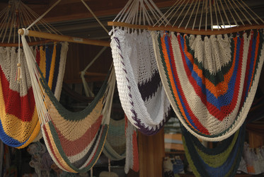 Similar image 8142026