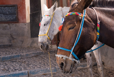 Similar image 8142035