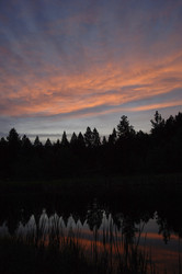 Similar image 8142114