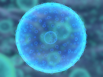 Similar image 8142234