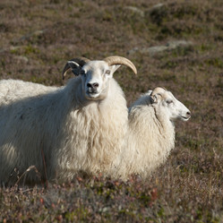 Similar image 8142238