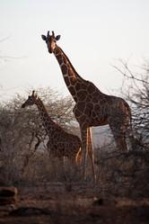 Similar image 8142244