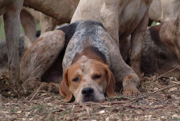 Similar image 8142248