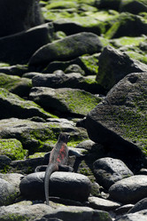 Similar image 8142254