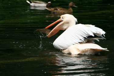 Similar image 8142255