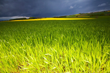 Similar image 8142314