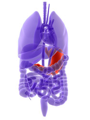 Similar image 8142320