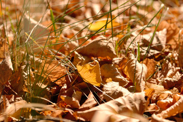 Similar image 8142324