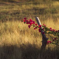 Similar image 8142333