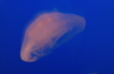 Similar image 8142334