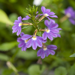 Similar image 8142376