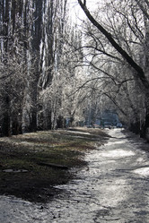 Similar image 8142385