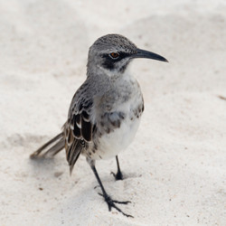 Similar image 8142396