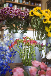 Similar image 8142398