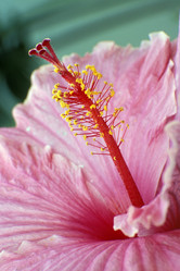 Similar image 8142409