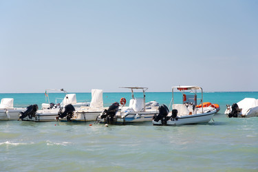 Similar image 8142453