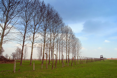 Similar image 8142458