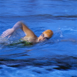 Similar image 8142498