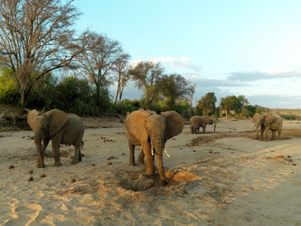 Similar image 8142499