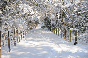 Similar image 8142503