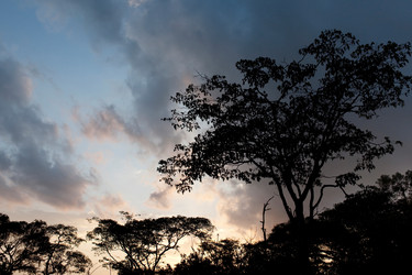 Similar image 8142508