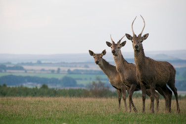 Similar image 8142510