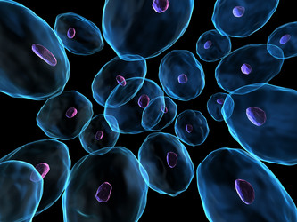 Similar image 8142534